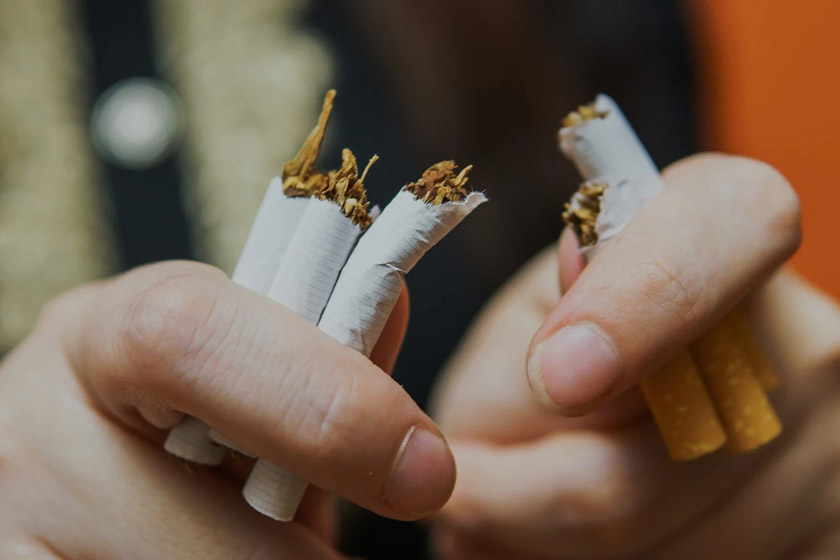 بهداشت دندان و لثه