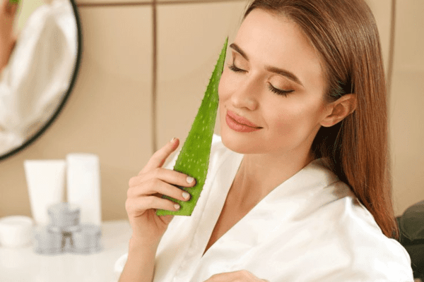 نحوه استفاده از آلوئه ورا چگونه است؟
