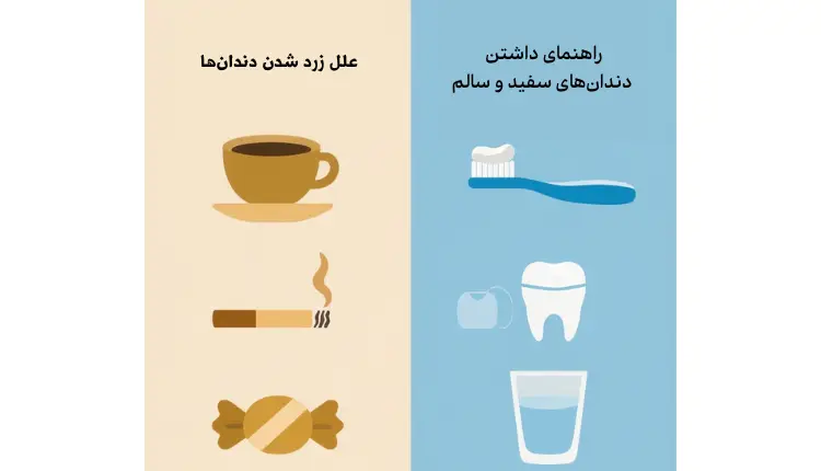 خمیر دندان سفید کننده قوی | مجله لوکسیرانا