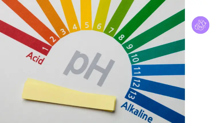 pH پوست چیست؟ عدد طبیعی pH صورت و روش‌های تنظیم آن | مجله لوکسیرانا